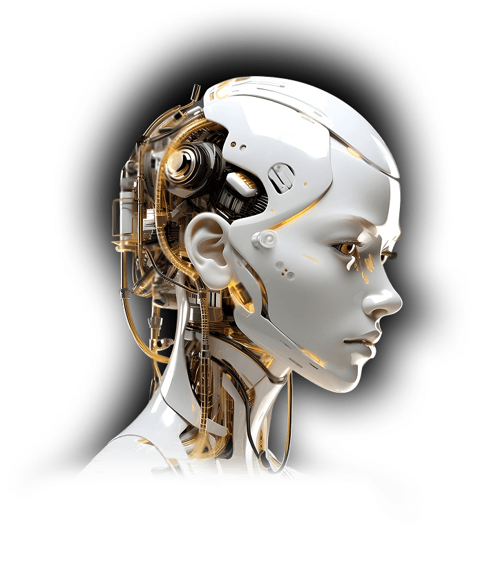 Robotic Head